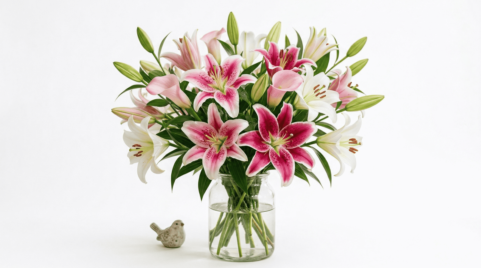 lilies-flowers